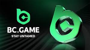 The Ultimate Guide to Gaming Experience the Thrill at BC.Game