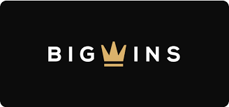 Online Gambling Establishment Incentives - VIP Program for High Rollers