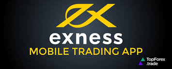 Understanding the Charges Calculator By Exness 3